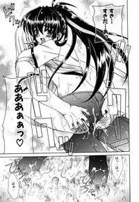 [Lapis Lazuli] Favorite H