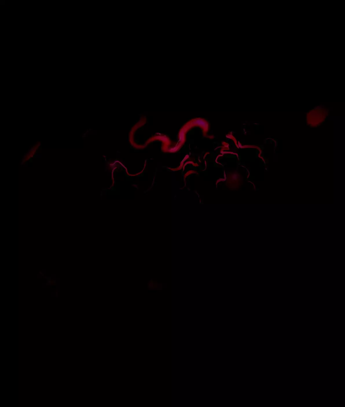 Futanari Prinecss and Futanari Knightess Mara-reborn