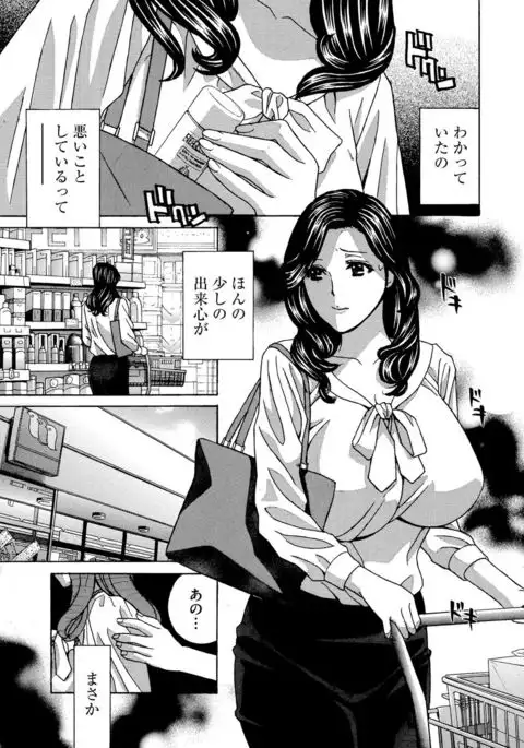 Cyberia Maniacs Hitozuma Juurin Collection Vol.2