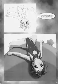 (CR28) [AKKAN-Bi PROJECT (Yanagi Hirohiko)] PA (Love Hina)