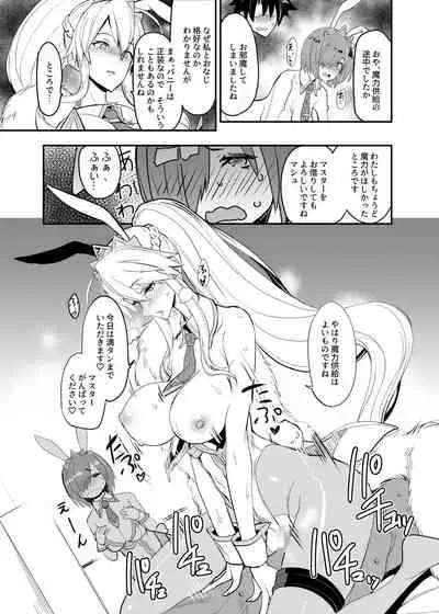 FGO no Erohon Soushuuhen