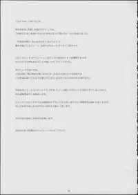 (C86) [JUNK STORY (Michairu)] PIECES (Vividred Operation)