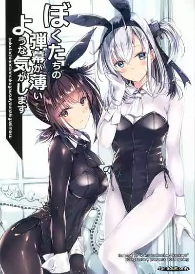 Boku-tachi no Danmaku ga Usui You na Ki ga Shimasu