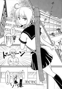 (C86) [Yadogiri no Hitsujikai (Aka Neko)] Houkago Romance (Fate/Stay Night)