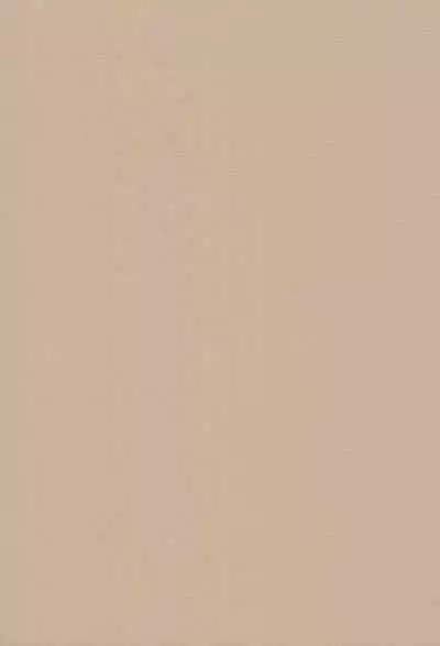 (C66) [Tenny Le Tai (R-Koga)] P-ZONE