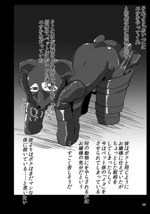 Ojou-sama no Gom Pet