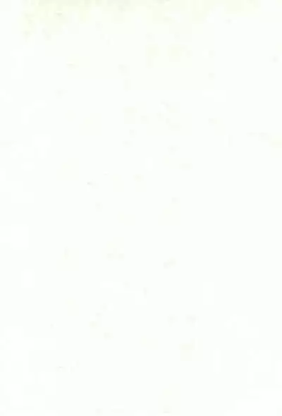 (C68) [ORIGINAL COMPLEX (Matsumura Naoki)] Natsukoi