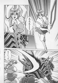 [Gun Ryuusei] Wakakusa Bishoujotai vol.4