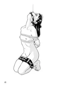 [Hayashibara Hikari] Shoukoujo 2 ~Lolita Girls Collection~