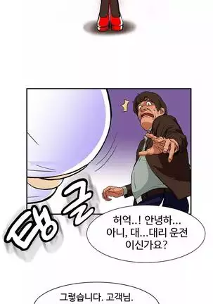 Chauffeur Service Ch.1-30.5