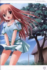 Shakkin Shimai＆Shakkin Shimai2 visual fanbook