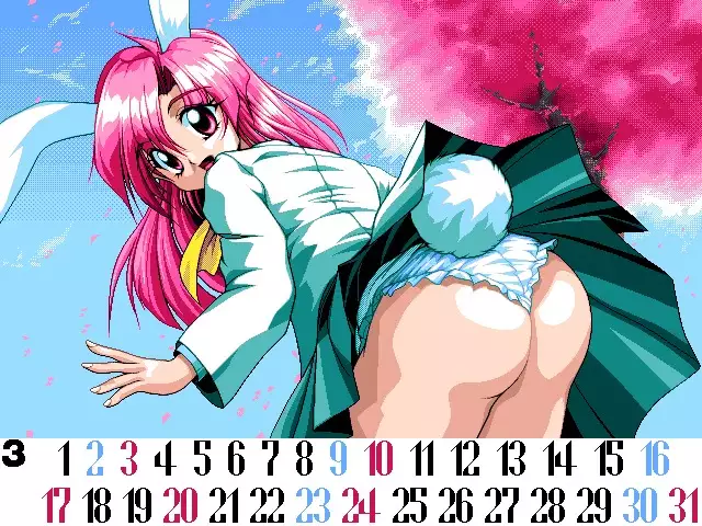 Sailor Bunny Gashuu Sono Ichi