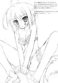 (Mimiket 25) [Private Garden (Tsurusaki Takahiro)] P.G GRAFFITI (DOG DAYS)