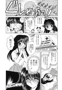 [Kirisawa Mint] Energya