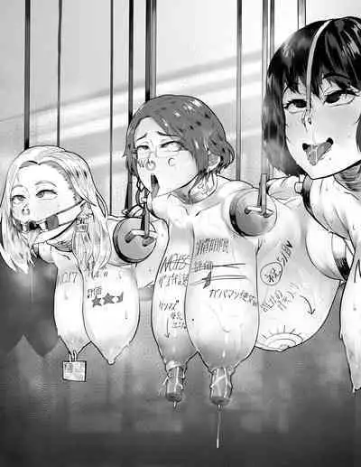 Seiki no Taiketsu Series!