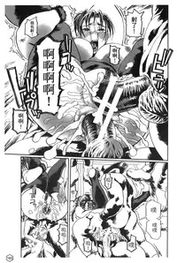 [Trochilidae] fighting queen 2 [Chiense]