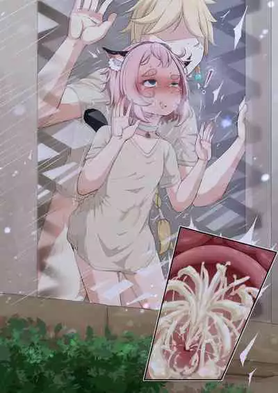 Diona to no Nichijou