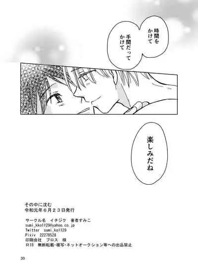 Sono Naka ni Shizumu