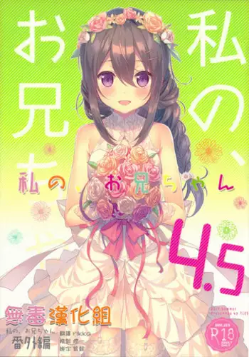 (C92) [TIES (Takei Ooki)] Watashi no, Onii-chan 4.5 Bangaihen [Chinese] [?????]