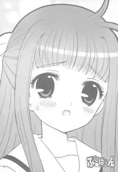 Punipoyon summary version