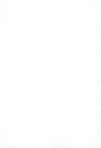 [Miyazaki Maya] Silent Hunter