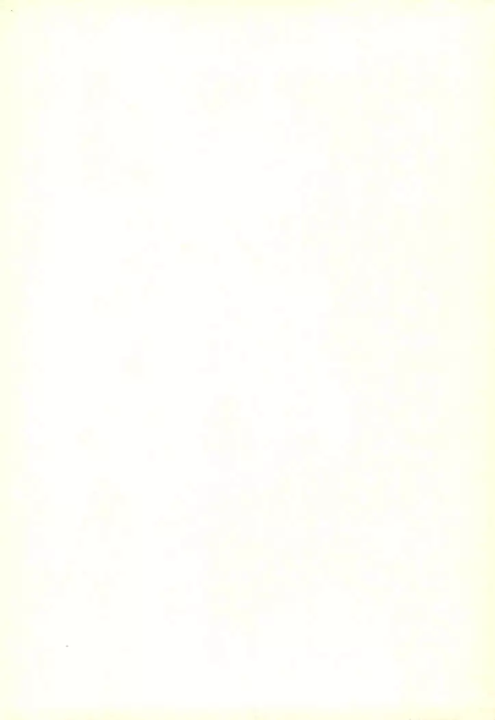 Tsuki no Ura no Labyrinth