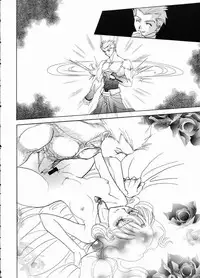 (C65) [Hanakaidou (Hanakaidou Yukio)] The Plastic Moon (Fate/stay night)