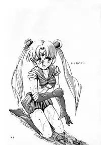 [MISTY MIDNIGHT (Shirasaka Biyu)] Twilight (Bishoujo Senshi Sailor Moon)