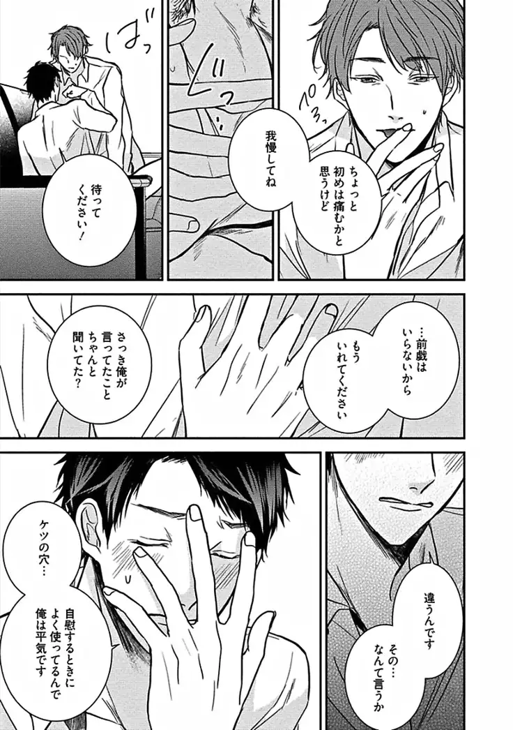 Hajimete wa Mechakucha Hageshii