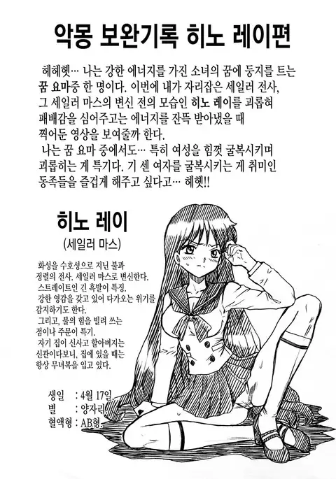 SAILORMOON FILE Hino Rei Gazoushuu