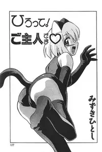 Men's Dolphin 2000-11 Vol. 15