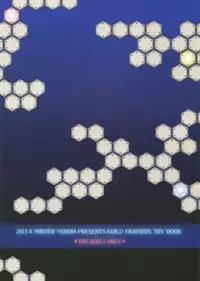 (C87) [Venom (Mori Marimo)] FIELD?? POOLSIDE (Gundam Build Fighters Try)