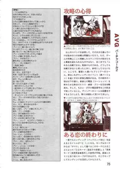 PC Bishoujo Software Strategy Book: Strategy King 2