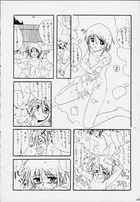 (CR28) [AKKAN-Bi PROJECT (Yanagi Hirohiko)] PA (Love Hina)