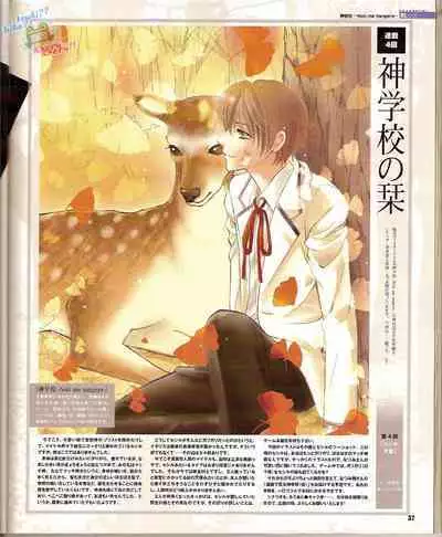 Cool-B Vol.23 2009-01