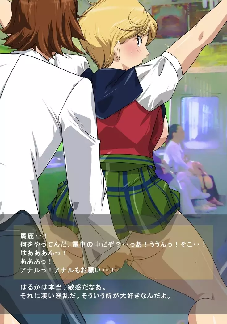 HARDCORE DATE ~haruka