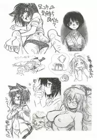 (SC34) [Dennou Denpa Hatsureisho (Harukaze Koucha)] Itsumono. Zouryou (Various)