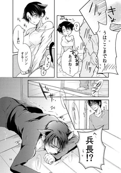 Futago neko hiroimashita