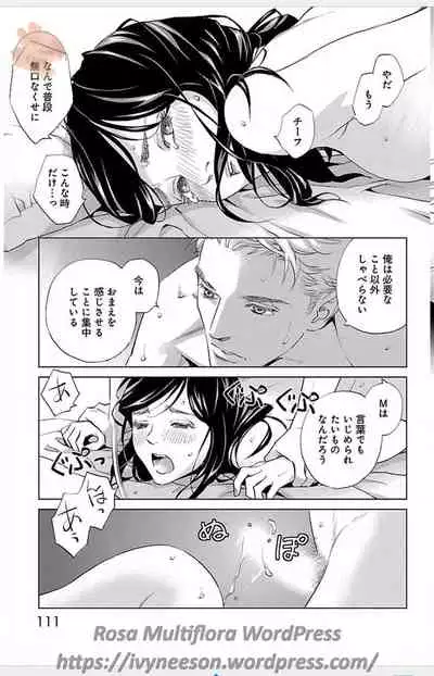 Subete Ai no Shiwaza/愛調教成性俘虜/爱调教成性俘虏/すべて愛のしわざ——もんでんあきこ vol 1-3End