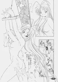 Mamotte Shugogetten - Shaorin Kannou Monogatari