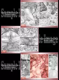 [Kouka Ryouhei (Yanagi Kyouei)] El-tentacle Birth Lady’s Mk.B PHASE-3 "Kou" [Digital]