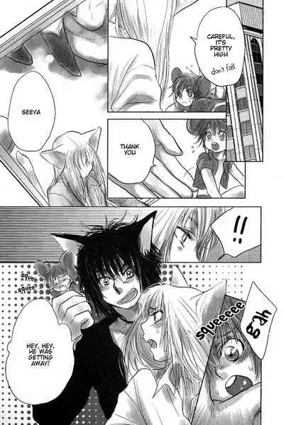 Mimi Paradise Vol. 1