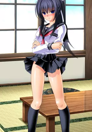 Demon Exorcising Meat Toilet Mikoto