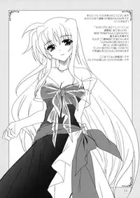 (C74) [PLUM (Kanna)] Mahou Shoujo Magical SEED OTHER (Mahou Shoujo Lyrical Nanoha)