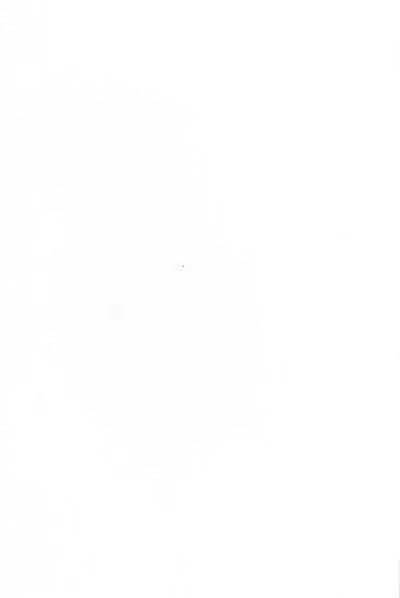 (C99) [Yamitsuki Honpo (Wise Speak)] Ryousai Oneshota Tamamo-chan (Fate/EXTRA) [Chinese] [牛肝菌汉化]