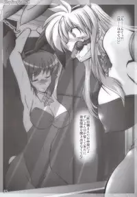 (C79) [WARP Co (45ACP)] Captive Rabbitl (Mahou Shoujo Lyrical Nanoha)