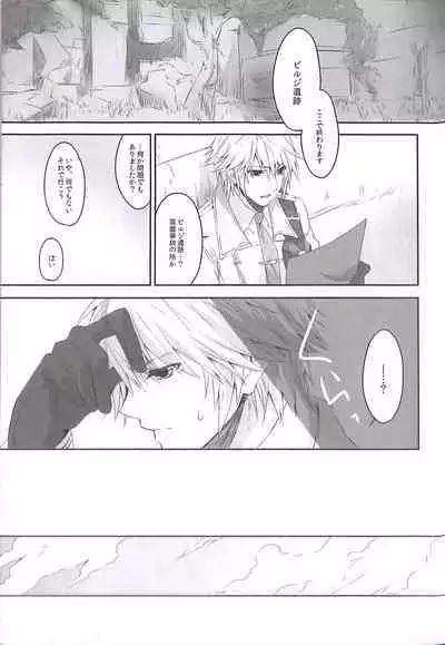 (C84) [CassiS (RIOKO)] HOPE (Final Fantasy XIII)