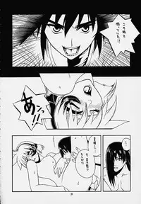 [IRODORI (SOYOSOYO)] Himegoto (Vandread)