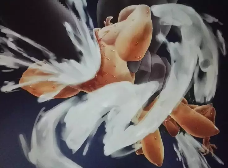 The Comprehensive Disgrace of Amazoness