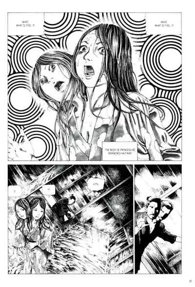 Princess of the Never Ending Castle